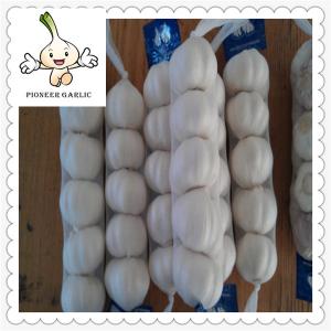 China Chinese fresh garlic low price PURE WHITE natural hot sale wholesale