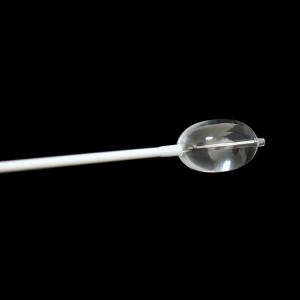 China Surface Anti Biodegradation Balloon Catheter Used For Human Dilation wholesale