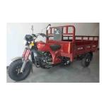 300-400kg Curb Weight Durable Gasoline Three Wheel Van Cargo Motorcycle Tricycle