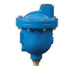 Cf8m Stainless Steel 304 316 Bsp Npt Threaded High Pressure relief Air Gas Steam
