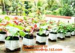 Planter Bags, Grow Bags, Cultivating Bags, Nursery Pot, Greenhouse, Agricultural