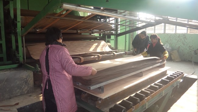 Silver Walnut Engineered Wood Veneer Customized ISO Certification