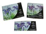Fine Artist Materials Kids Watercolor Set , Artistic Acrylic Colours Environment