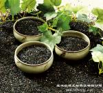 HACCP factory directly supply black rice extract