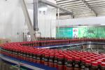 40 Valves Automatic Dry Aseptic Filling Machine