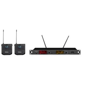 China Karaoke Party Wireless Microphone Transmitter And Receiver Kit CE ROHS wholesale