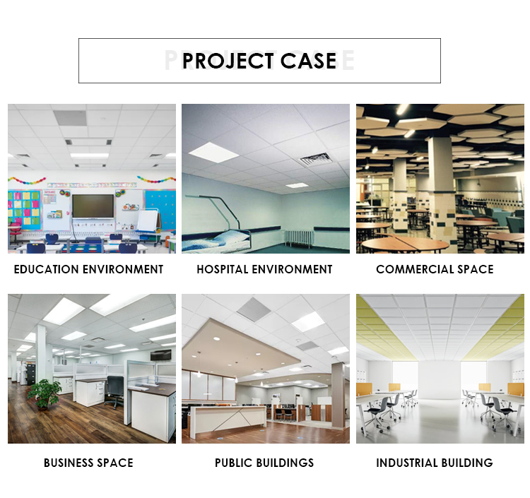 USG Product 2X4 Mineral Fiber Acoustic Perforated Ceiling Tiles with Customized Size