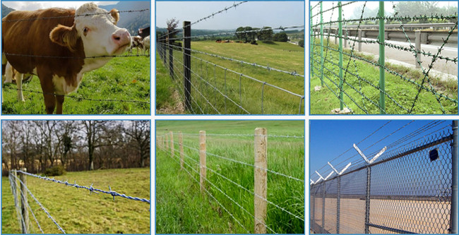Q195 3 Points Galvanized Barbed Wire 12x12 Anti Climb Against Oxidation