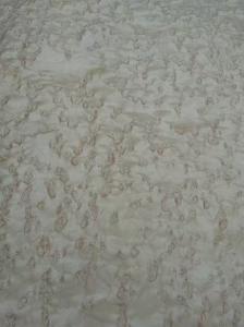 China Sliced Natural Birds Eye Maple Wood Veneer Sheet wholesale