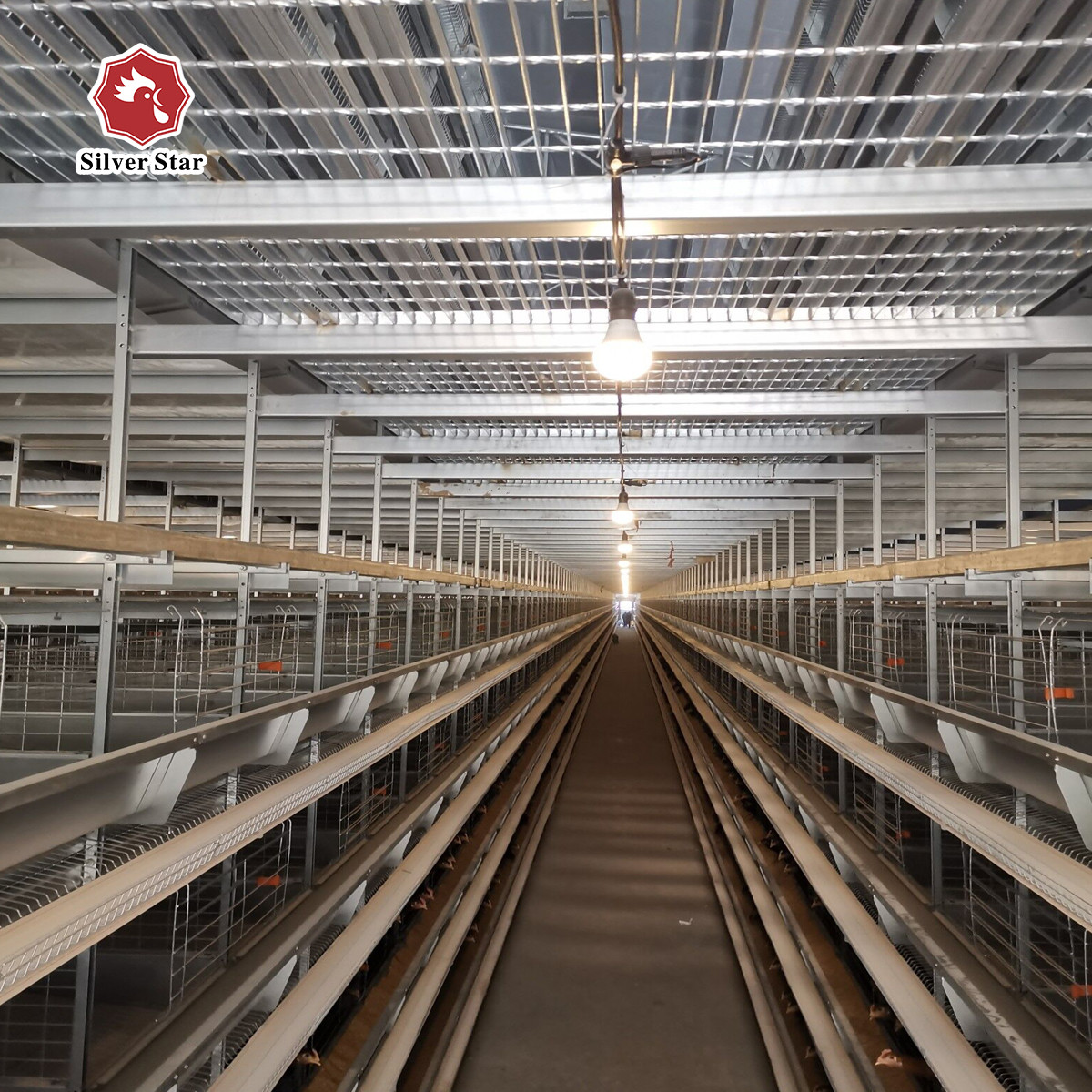 Complete Automatic Layer H Type Poultry Cage 380V Silver Color