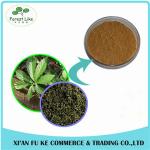 Wholesale Natural Saponins 20 %- 98 % Gynostemma Extract for Lower Blood