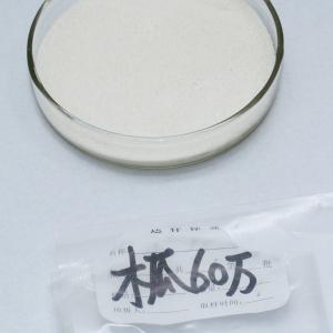 China Gluten Protease 2400000U/G For Flour Gluten Reduction Bread Baking Production wholesale