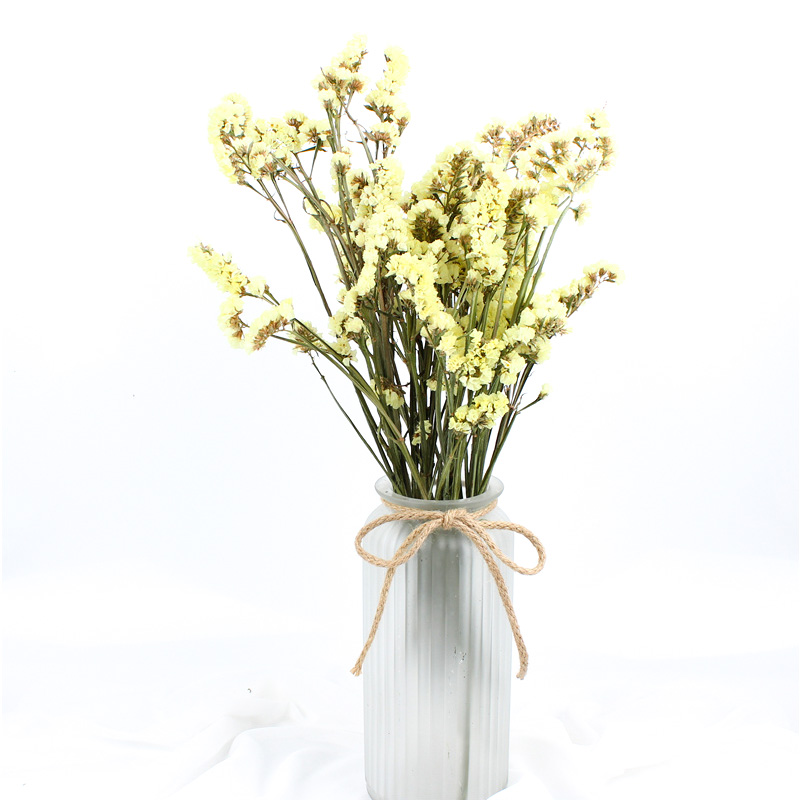 Forget Me Not Limonium Statice Flower , Everlasting Preserved Fresh Flower