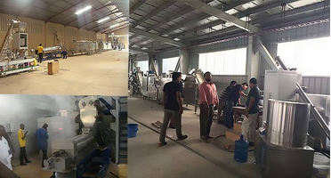 Silvery Floating And Sinking Fish Feed Pellet Extruder Machinery With High Technology