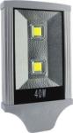 40 W street light