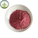 Wholesale Instant Powder Drink Dried Waxberry In Bulk
