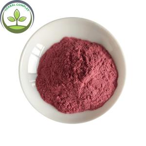 China Wholesale Instant Powder Drink Dried Waxberry In Bulk wholesale
