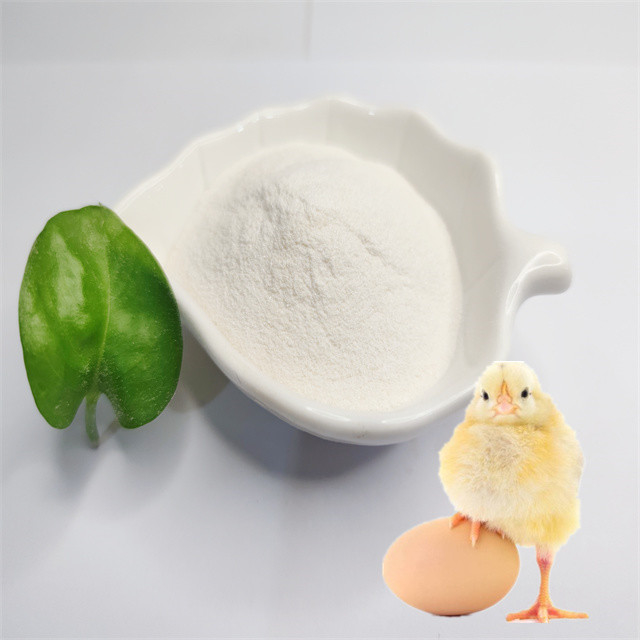 Magnesium Amino Acid Chelate Feed Additive Supporting Animal Health and Performance with Enhanced Magnesium Absorption