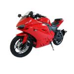 Max Load 200kg 2000W 3000W Electric Motorcycle Racing Dirt Bike for Adult Off