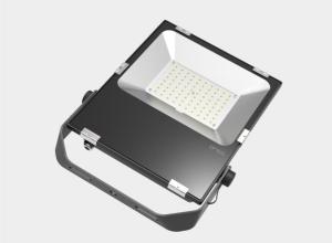 China AC85V 100Lm/W 80W Led Outdoor Flood Lights wholesale