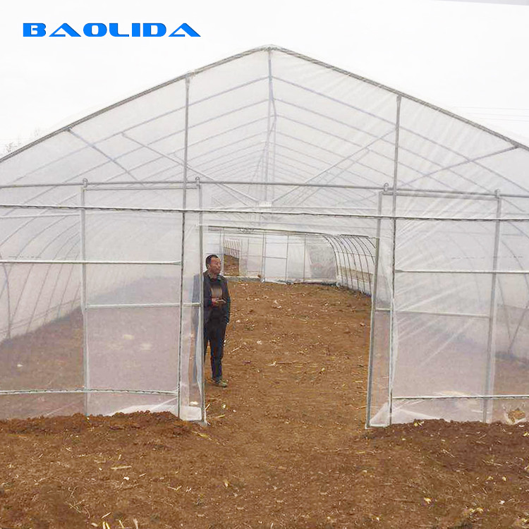 Single-span Arch Polyethylene Film Pumpkin 6m High Tunnel Plastic Greenhouse For Plants Growing