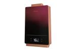 16L Wall Hung Gas Boiler Stainless Steel Shell Wall Mounted Electric Water