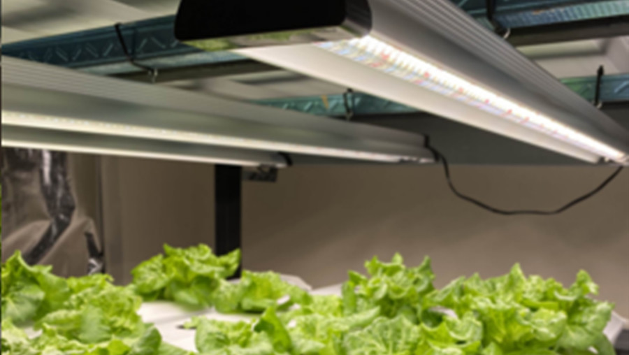 RedFarm 40w 2.5ft Veg LED Grow Light Vertical Farm Vegetable Seedling Plants