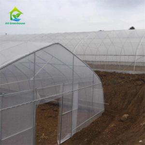 China Serre Gothique 240m2 Poly Tunnel Greenhouse Economical Gothic Arch Greenhouse wholesale
