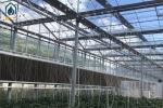 Hydroponic Transparent Glass Greenhouse For Plants With Ventilation Cooling