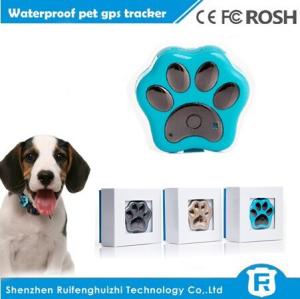 China 2016 wholesales smallest pet tracker gps gsm tracker rf-v30 wholesale