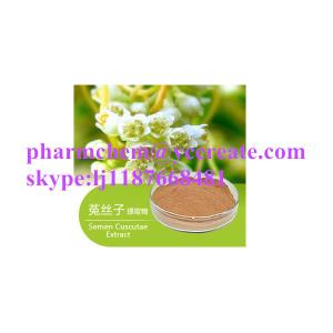 China Hot Sale Manufacturer Natural Herbal Extract Field Dodder Extract Powder wholesale