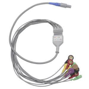 China Biomedical Instruments 10 leads Holter ECG Cable and Leadwires wholesale
