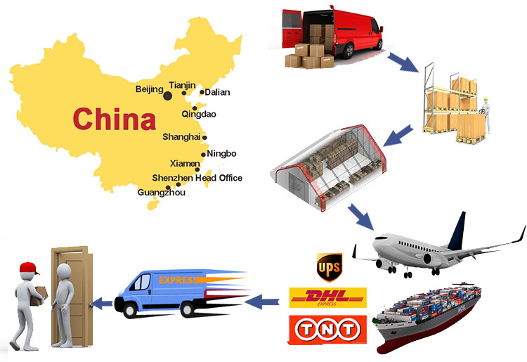 Fast Door To Door DHL Express Worldwide Shipping Freight Forwarder