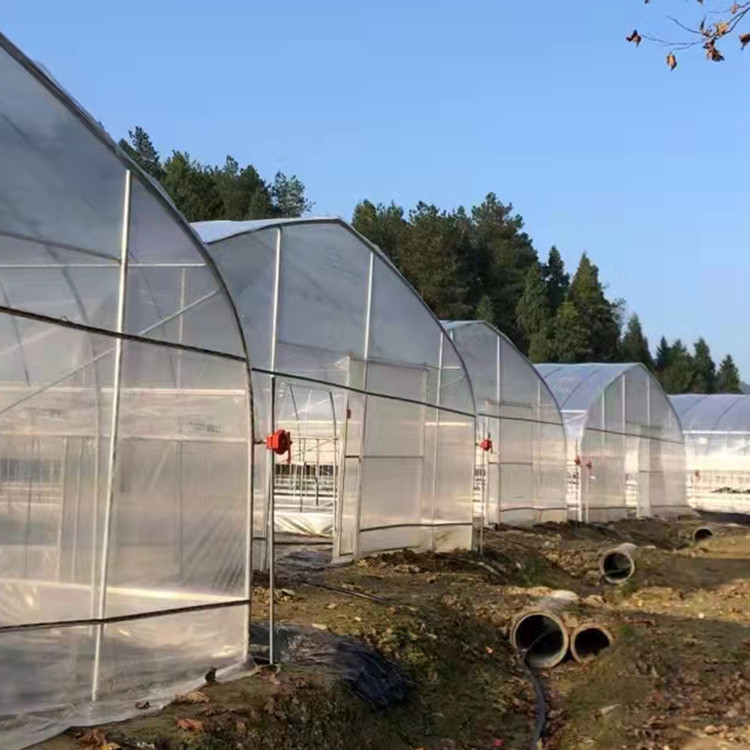 Agricultural Tomatoes Single Layer Greenhouse With 80 Micron Film