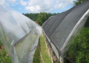 China Black Plastic Greenhouse Shade Netting For Agriculture , 4 x 100m wholesale