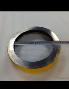 China Concrete Pump Wear Ring 261123001，DN230 wholesale