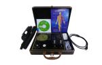 Quantum Bio-Electric Whole Health Analyzer For Endocrine System