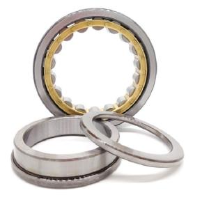 China ODM Chrome Steel Sealed Cylindrical Roller Bearing NU1018 90x140x24mm wholesale
