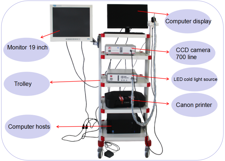 900 / 1100 Line Ent Endoscopy Equipment , Video Endoscopy System With 19 Inch Display
