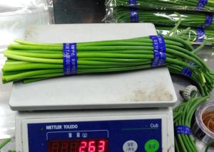 China New Crop garlic growing green stems wholesale