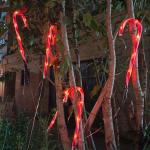 Outdoor Solar LED Lights Christmas Candy Cane Lights for Other Christmas