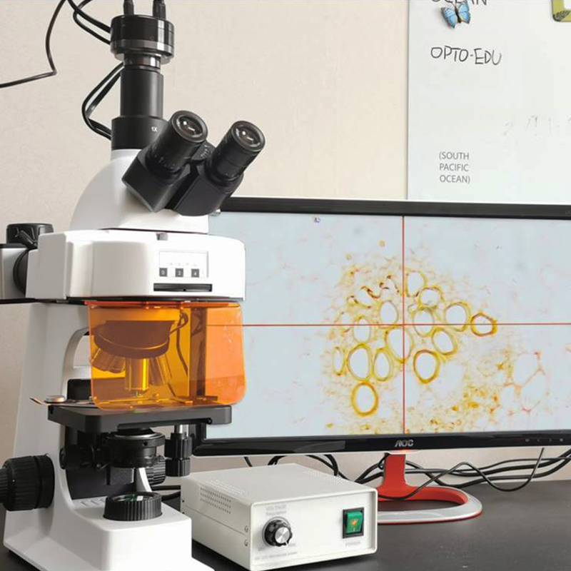 OPTO-EDU A16.2601 40x - 1000x LED Trinocular Fluorescence Microscope For Research / Learning