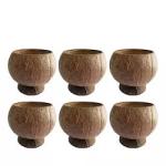 Coconut Bowl Cup Hawaiian Party Decorations Tableware Coconut Shell Wine Cup