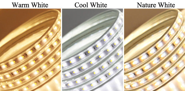 Warm White 12 Volt Outdoor Led Strip Lighting For Advertisement Sign Lighting