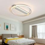 Artistic ceiling lights For Indoor home Sitting room Bedroom Decoration (WH-MA