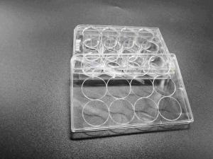 China Tissue Culture Treatment 12 Well Plate Standard Packing Cell Culture Consumables wholesale
