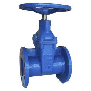 China Corrosion Resistance Resilient Gate Valve Durable Ductile Iron Gate Valve wholesale