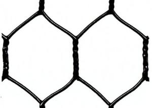 China 25mm Green Black Vinyl Coated Chicken Wire Fencing 1in 20 Gauge Poultry Netting wholesale