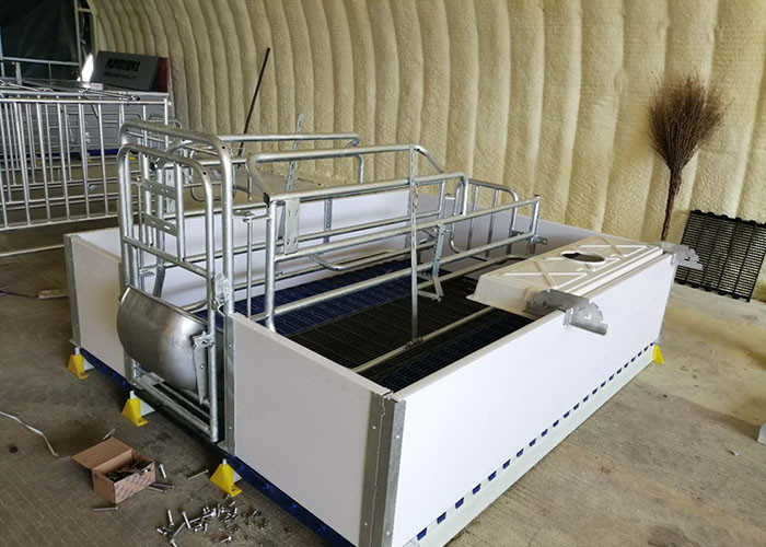 OEM ODM 304 Stainless Steel Farrowing Crates Swine Gestation Crates