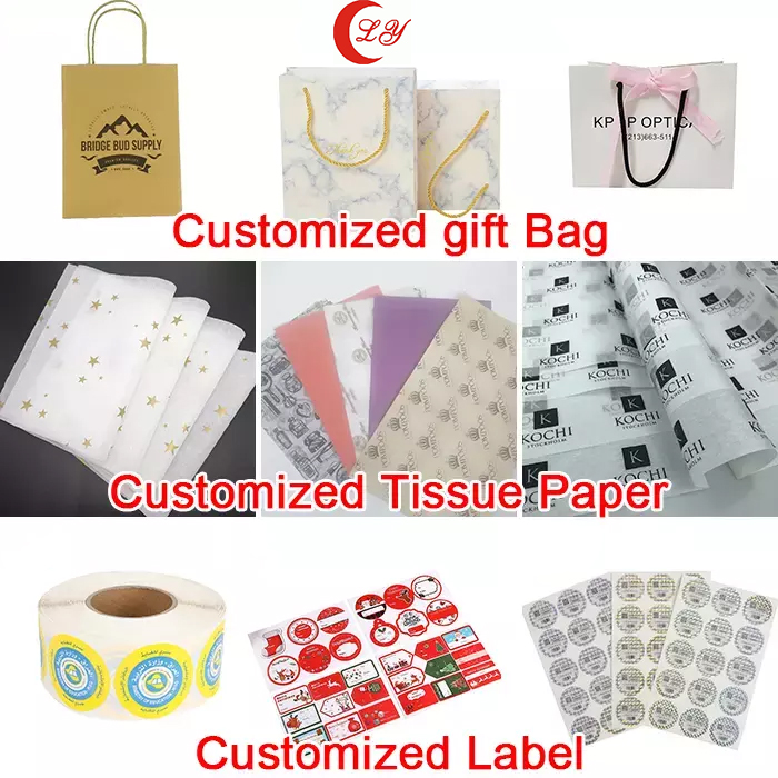 Custom Order Acceptable Luxury Logo Printed Shopping Bag for Beautiful Holiday Gift
